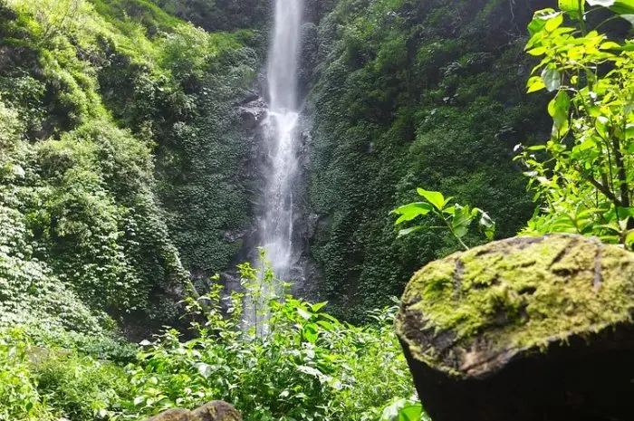Coban Rais Waterfall Batu, a Natural Tourism Destination Rich in Charm