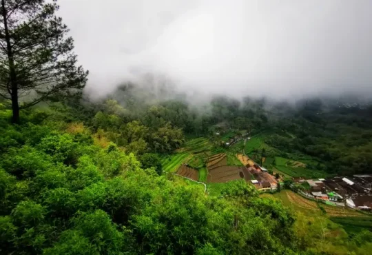 Natural Tourism in Batu that Offer Natural Beauty and Exciting Adventures
