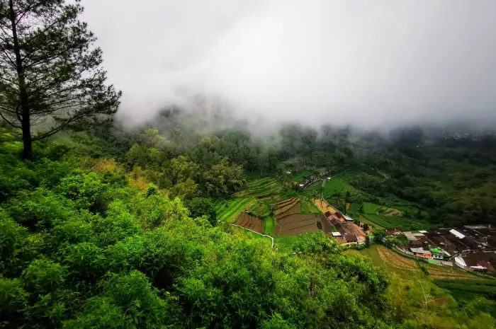 Natural Tourism in Batu that Offer Natural Beauty and Exciting Adventures
